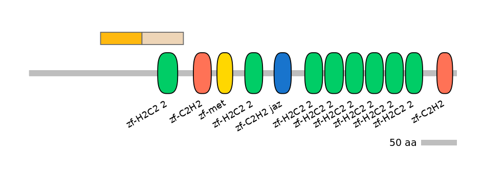 MmuEX0036980-EXC