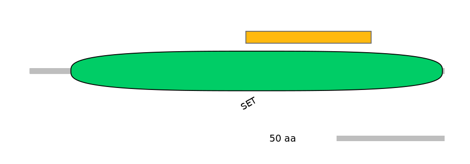 MmuEX0036984-EXC