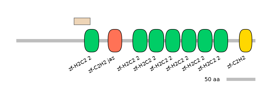 MmuEX0036986-EXC