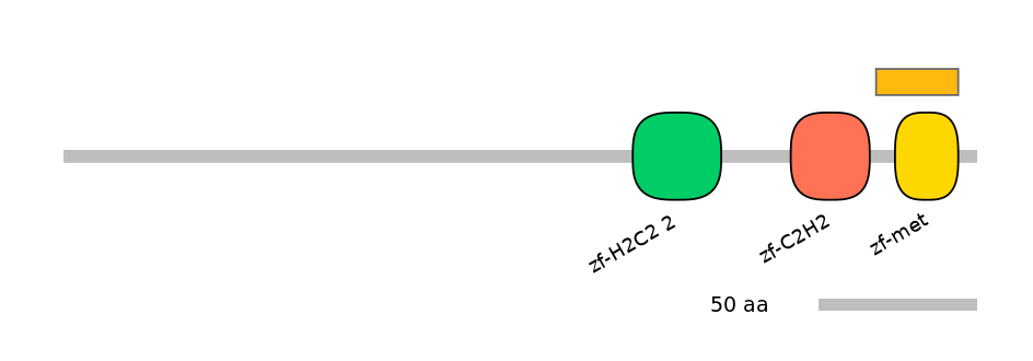 MmuEX0036987-EXC