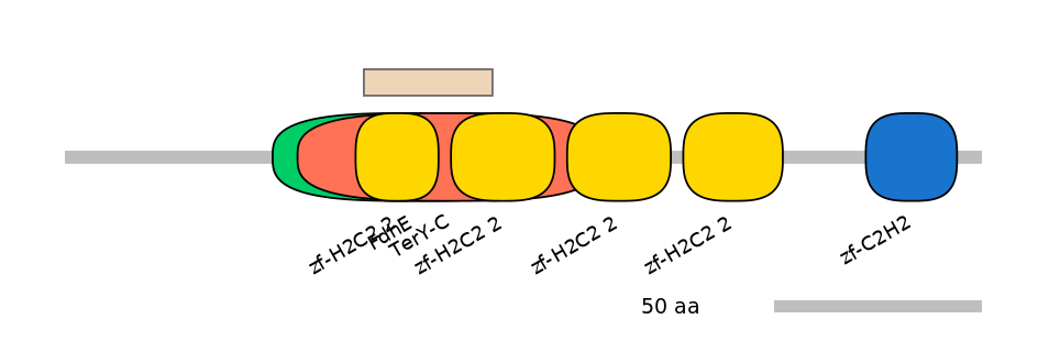 MmuEX0036989-EXC