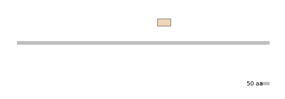 MmuEX0037415-EXC