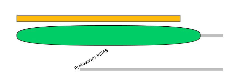MmuEX0037561-EXC