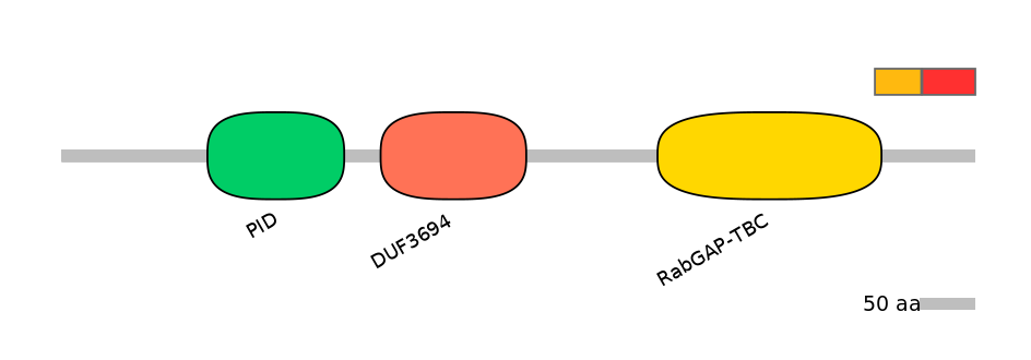 MmuEX0038436-INC