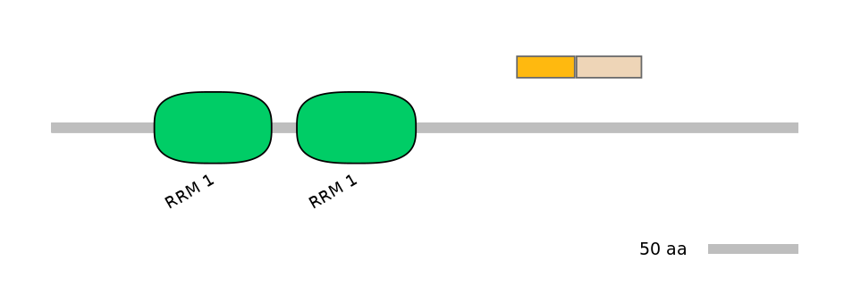 MmuEX0039209-EXC