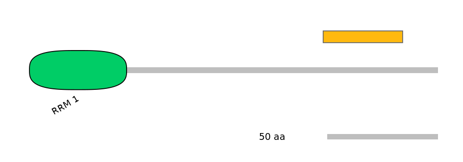 MmuEX0039212-EXC