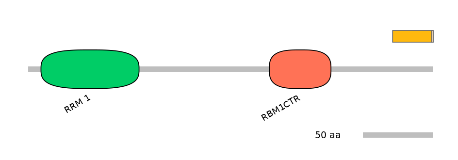MmuEX0039215-EXC