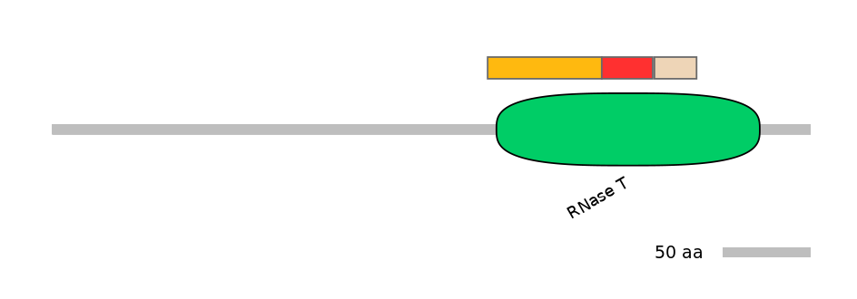 MmuEX0039487-INC