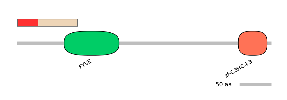 MmuEX0039506-INC