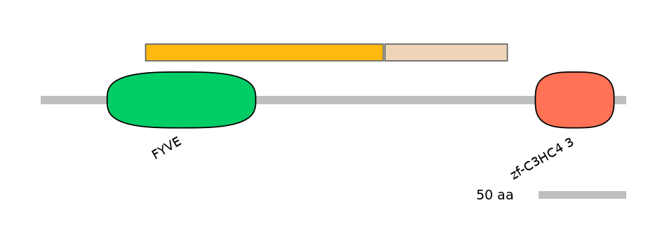MmuEX0039508-EXC