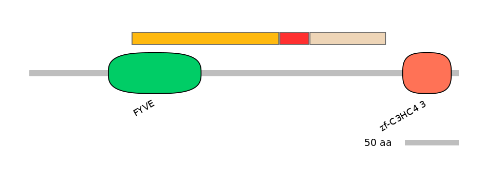 MmuEX0039508-INC