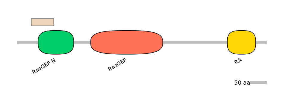 MmuEX0039582-EXC