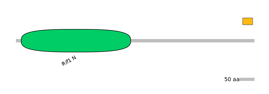 MmuEX0039809-EXC