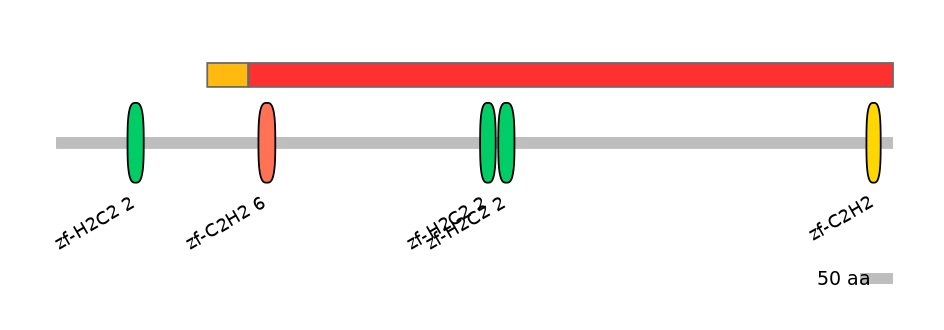 MmuEX0040575-INC