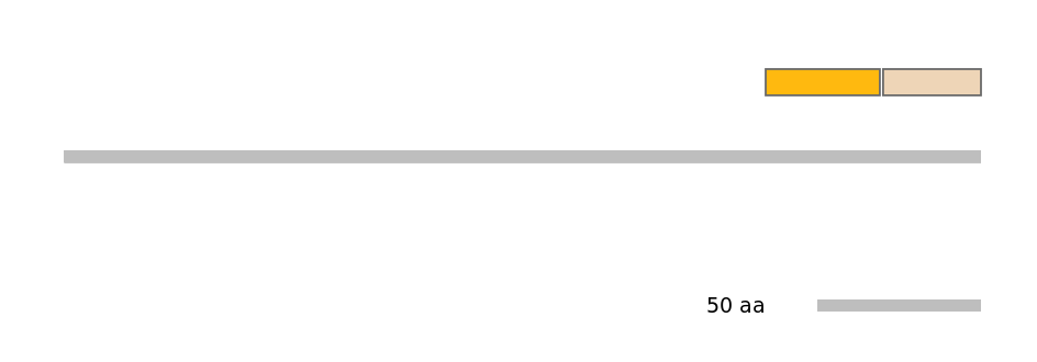 MmuEX0040655-EXC
