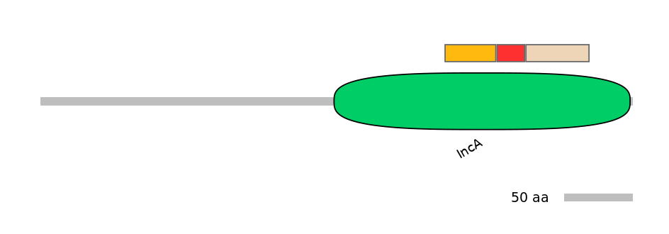 MmuEX0041372-INC