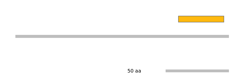 MmuEX0041882-EXC