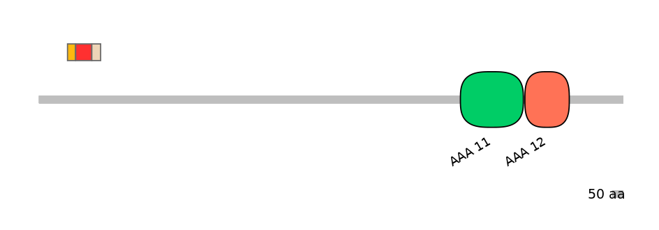 MmuEX0041882-INC