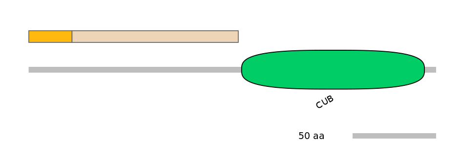 MmuEX0041894-EXC