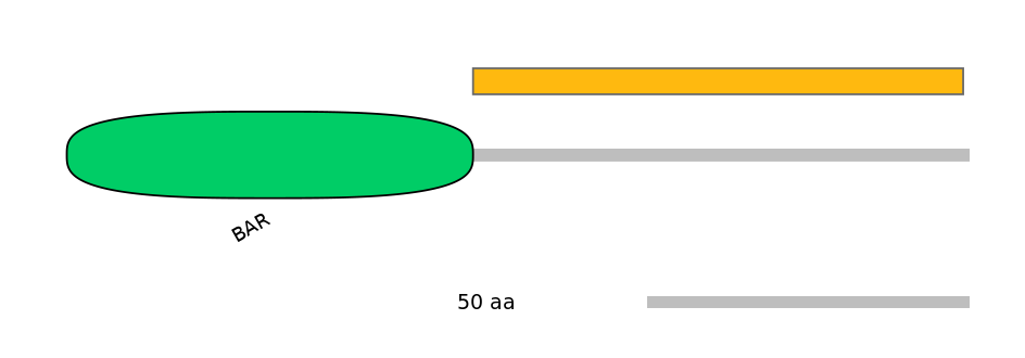 MmuEX0042192-EXC
