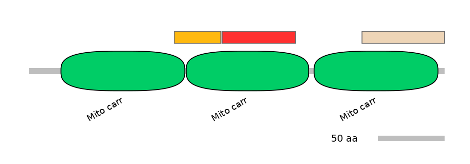 MmuEX0042926-INC