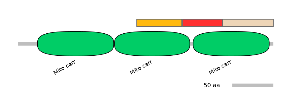MmuEX0042927-INC