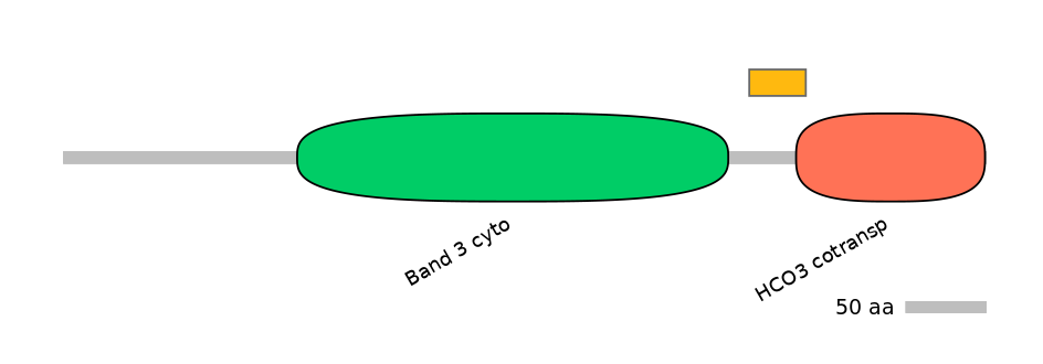 MmuEX0043425-EXC