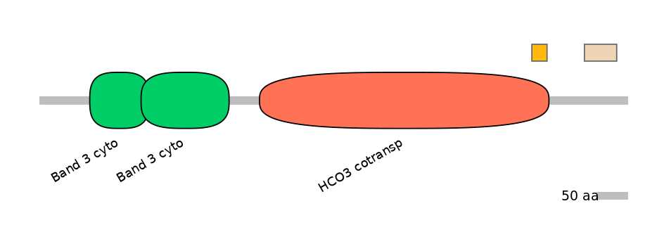 MmuEX0043441-EXC