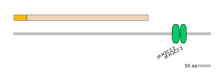 MmuEX0044479-EXC