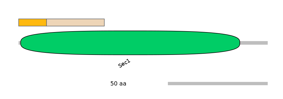 MmuEX0045624-EXC