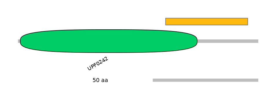MmuEX0046268-EXC