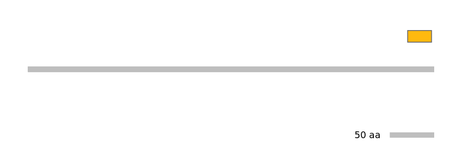 MmuEX0046396-EXC