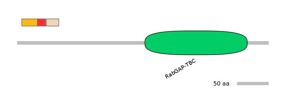 MmuEX0046401-INC