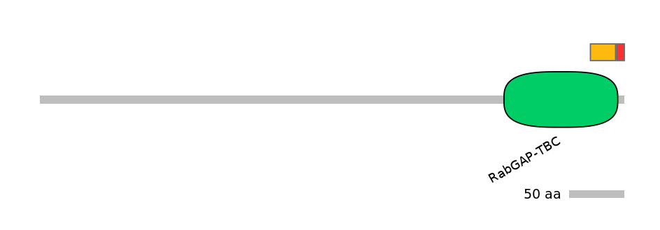 MmuEX0046409-INC