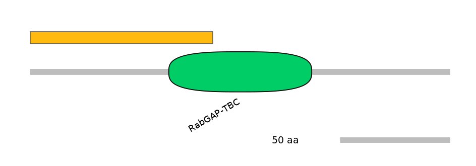 MmuEX0046411-EXC