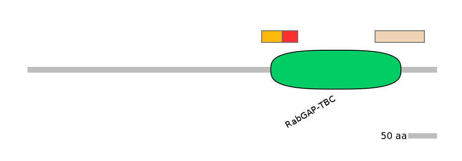 MmuEX0046416-INC