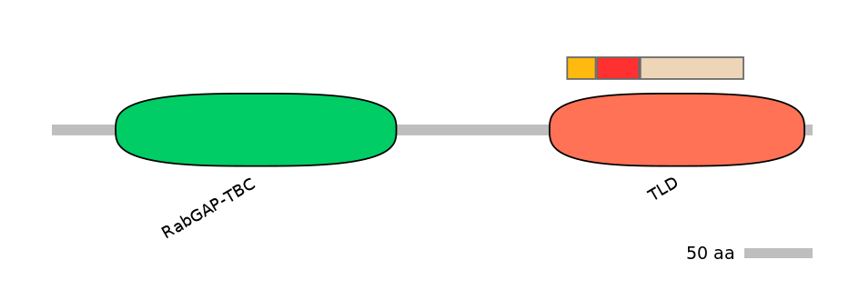 MmuEX0046468-INC