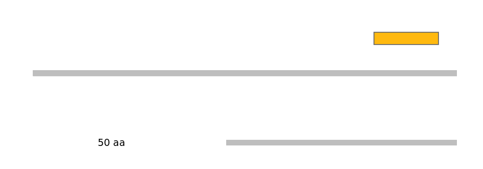 MmuEX0047464-EXC