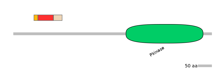 MmuEX0047464-INC