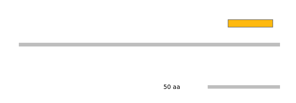 MmuEX0047475-EXC