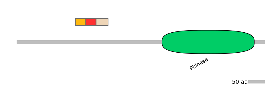 MmuEX0047475-INC