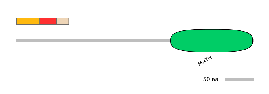 MmuEX0048684-INC