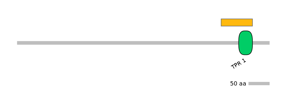 MmuEX0049502-EXC