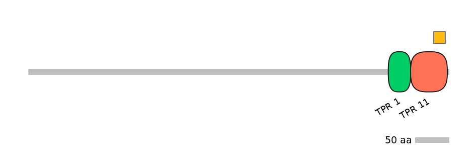 MmuEX0049504-EXC