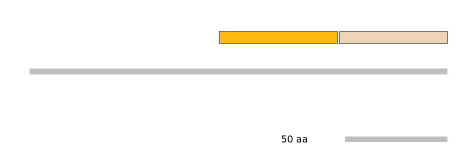 MmuEX0049893-EXC