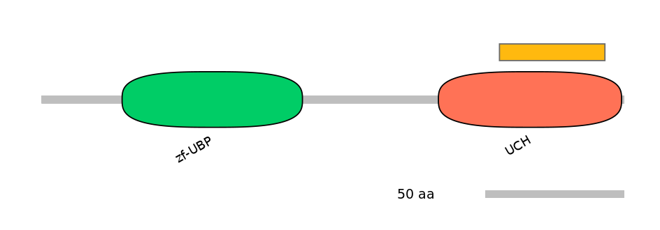 MmuEX0050859-EXC