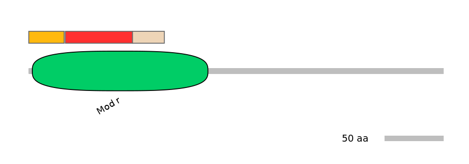 MmuEX0051532-INC