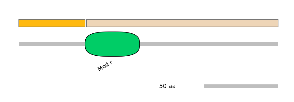 MmuEX0051534-EXC