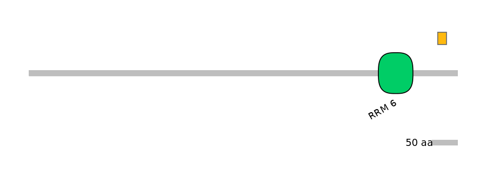 MmuEX0053006-INC