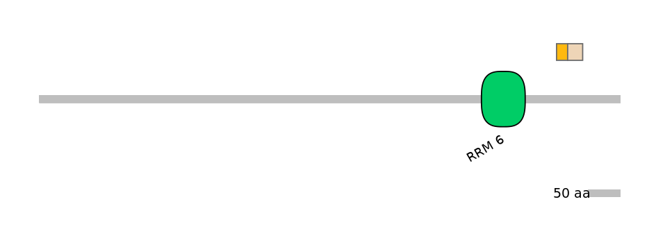 MmuEX0053007-EXC